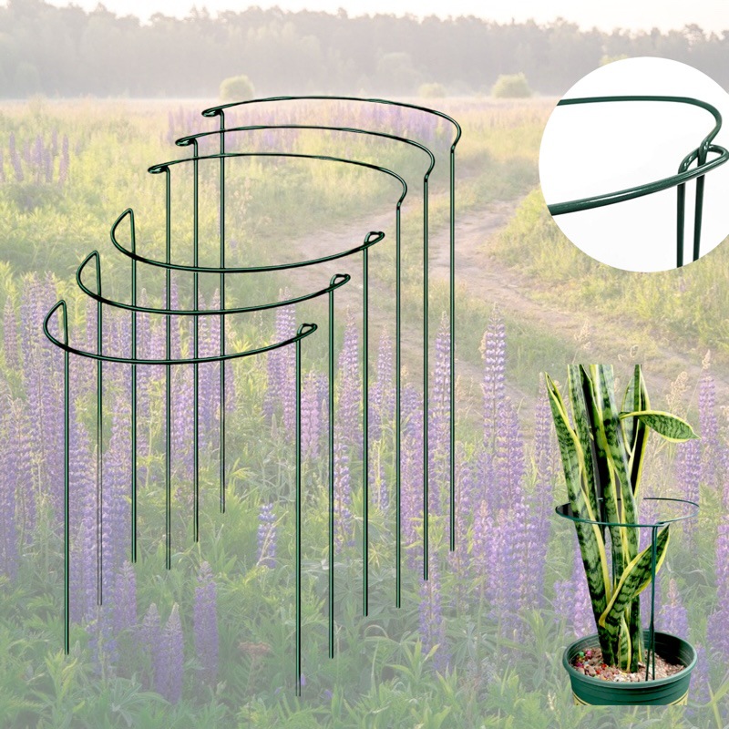 Florist Supp - 20x35Cm Sturdy Metal Plant Support Stakes