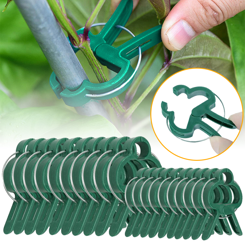 Florist Supp - 20Pcs Plant Fixed Clips Reusable Garden