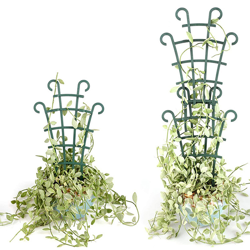 Florist Supp - 2pcs Mini Garden Growing Plant Climbing