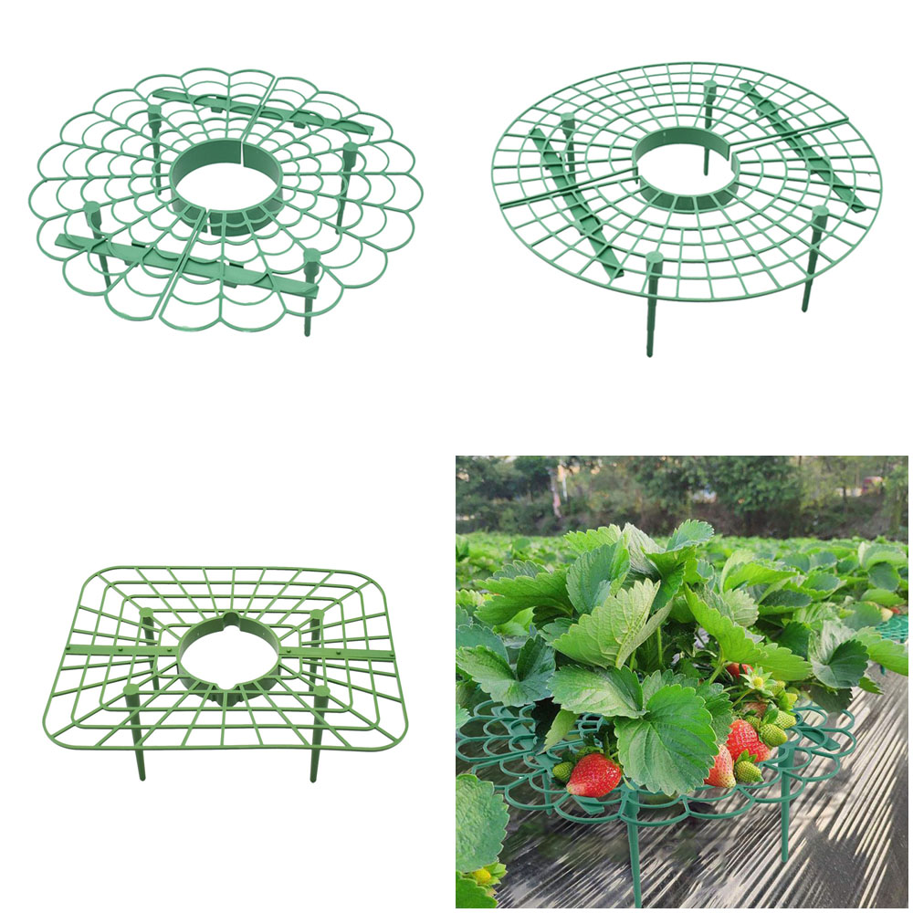 Strawberry Stand Frame Holder  - Florist Supp 评论和价格