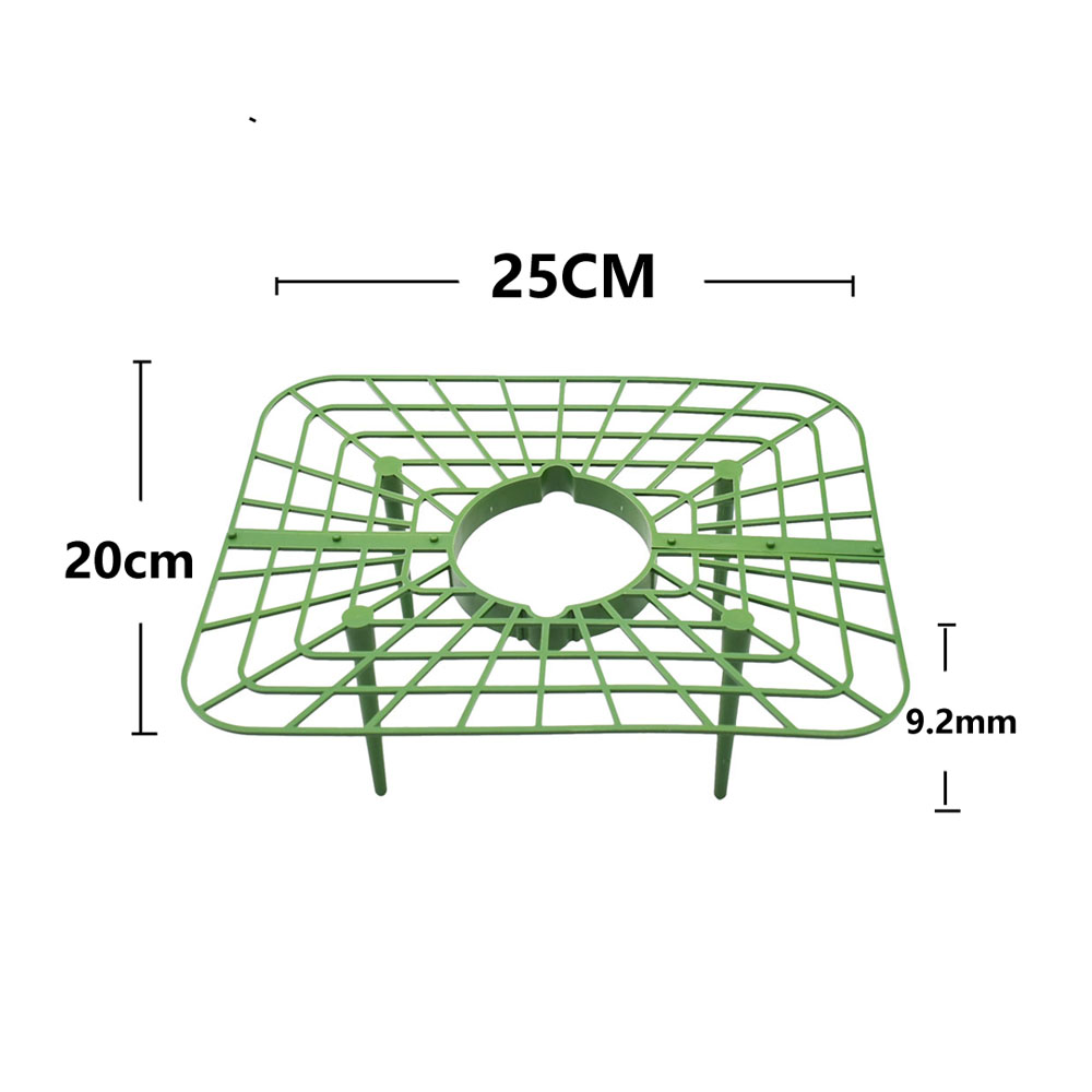 Strawberry Stand Frame Holder  - Florist Supp 评论和价格