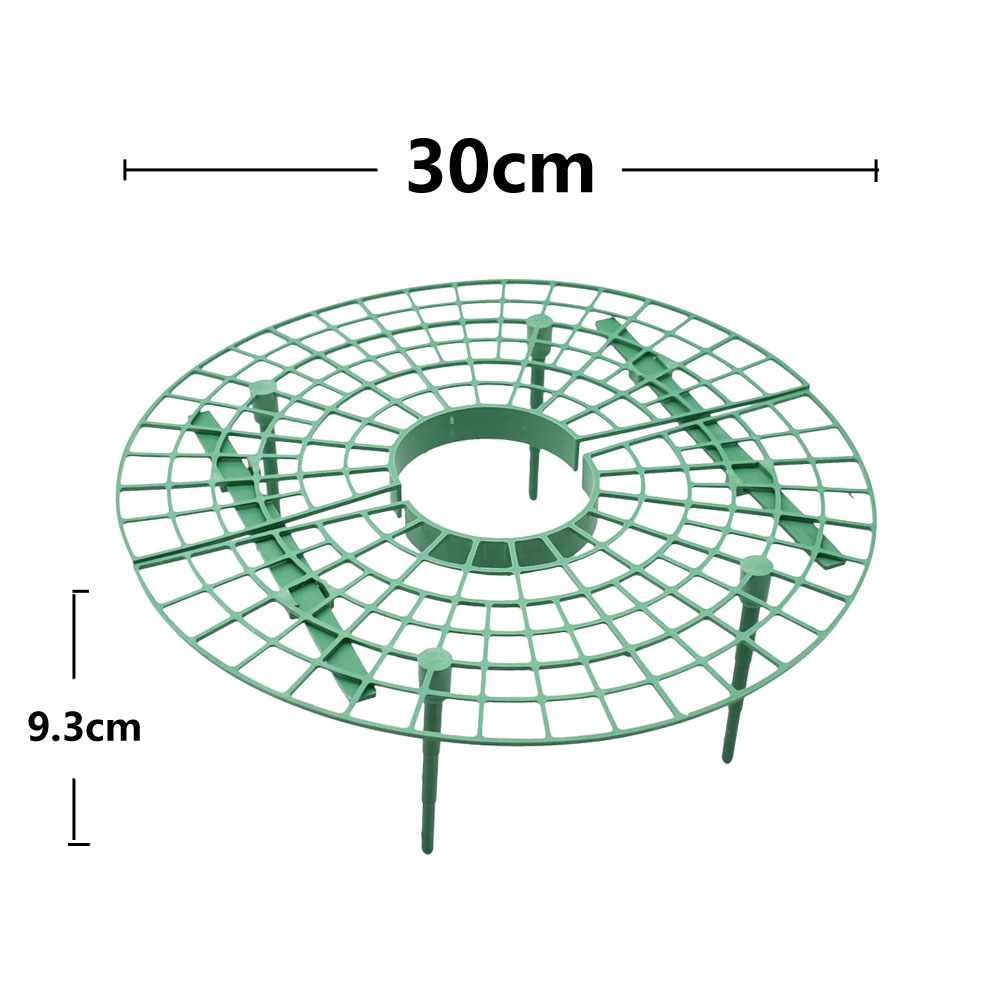 Strawberry Stand Frame Holder  - Florist Supp 评论和价格
