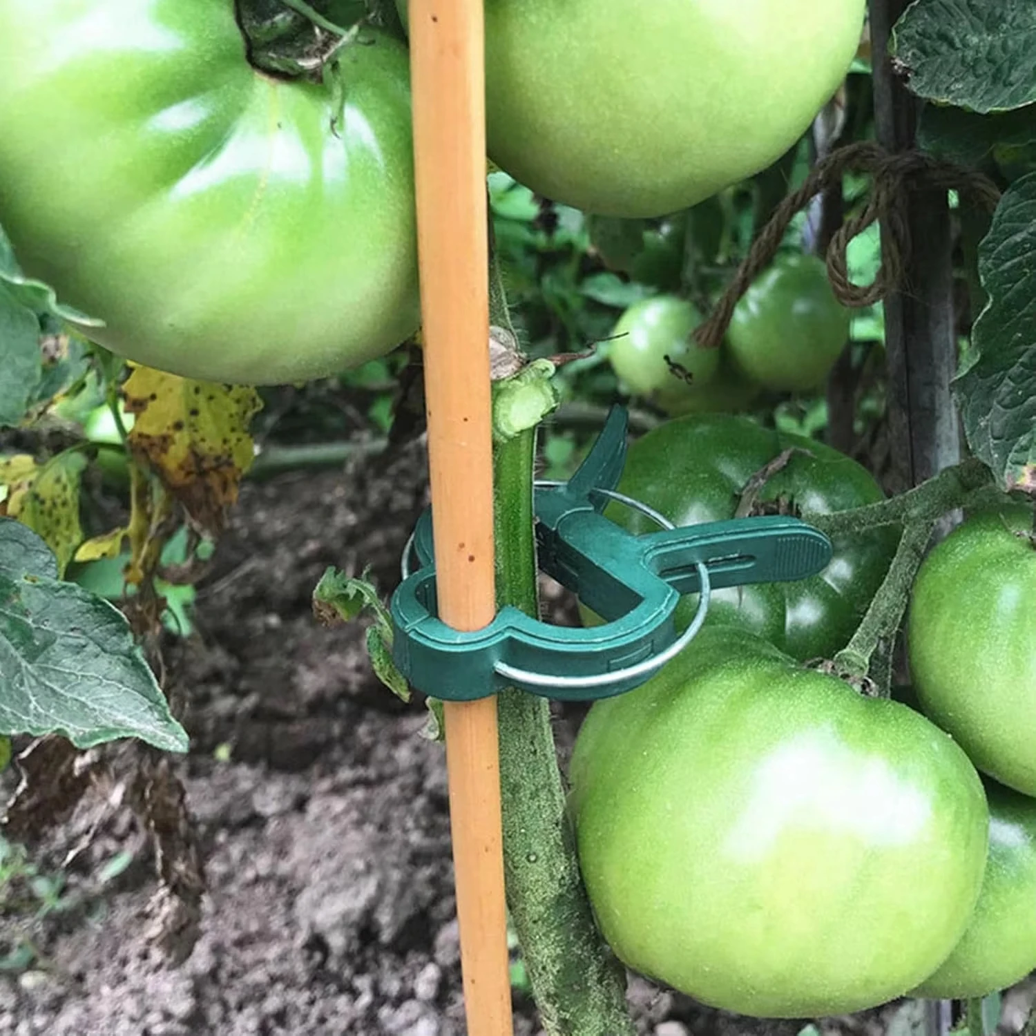 Plant Fixed Clips Reusable Gar - Florist Supp 评论和价格