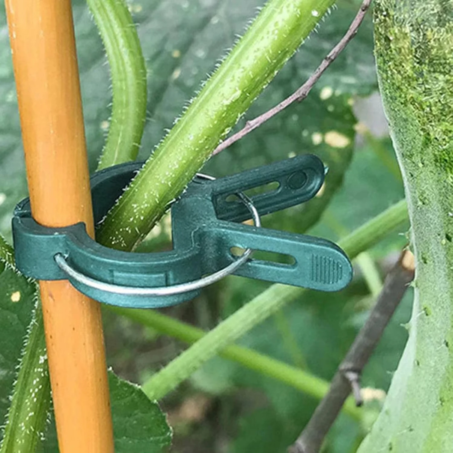 Plant Fixed Clips Reusable Gar - Florist Supp 评论和价格