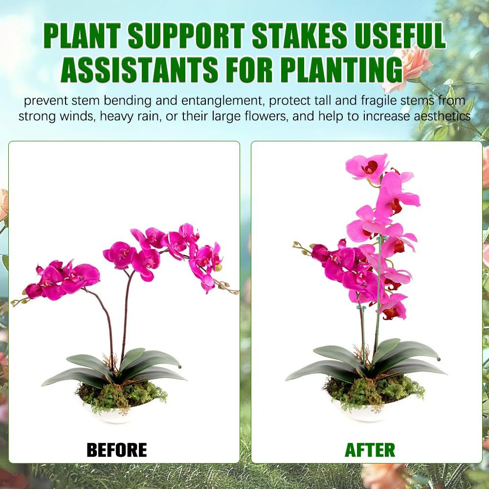 5/10PCS Plant Supports Stand B - Florist Supp 评论和价格