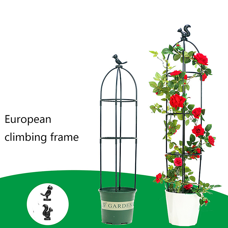 C 1Set Climbing Plant Trellis  - Florist Supp 评论和价格