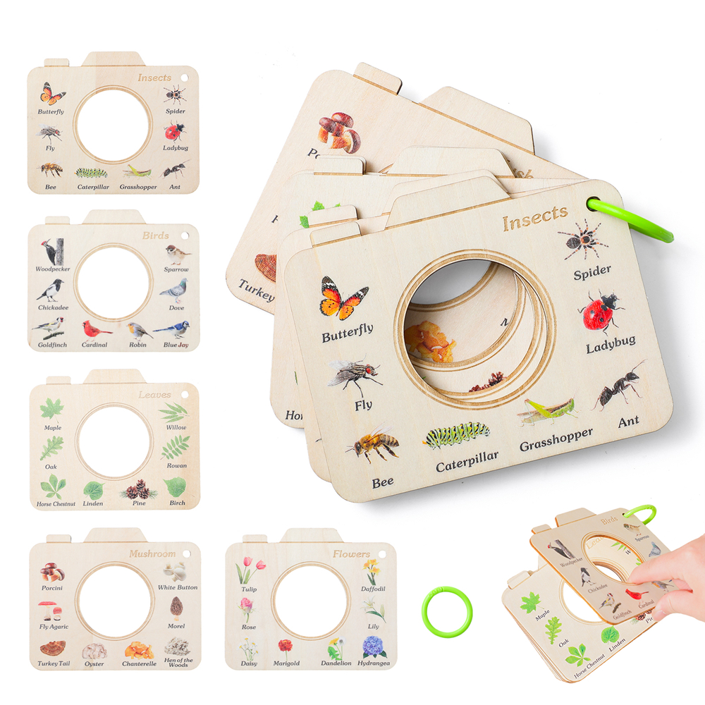 Wooden Camera Shape Nature Cog - Florist Supp 评论和价格