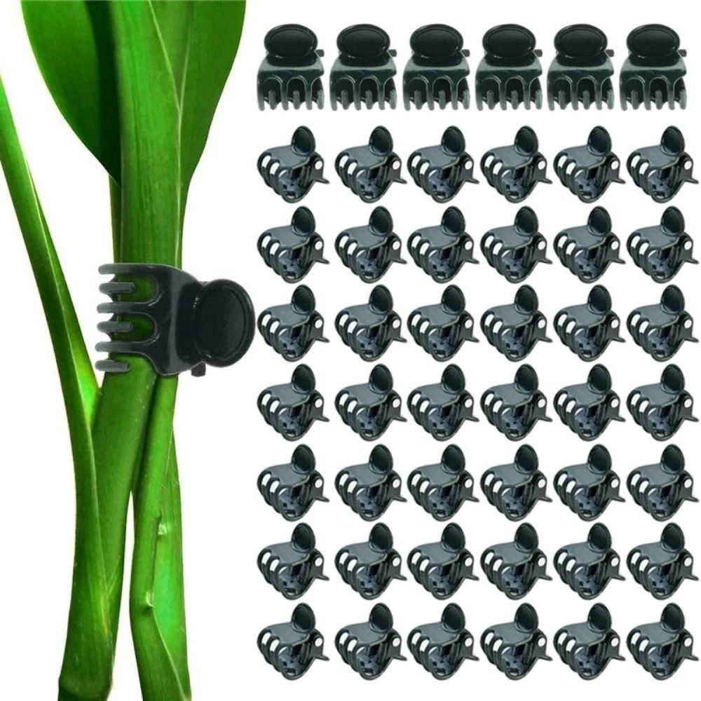 Vine Grafting Plant Clips Supp - Florist Supp 评论和价格