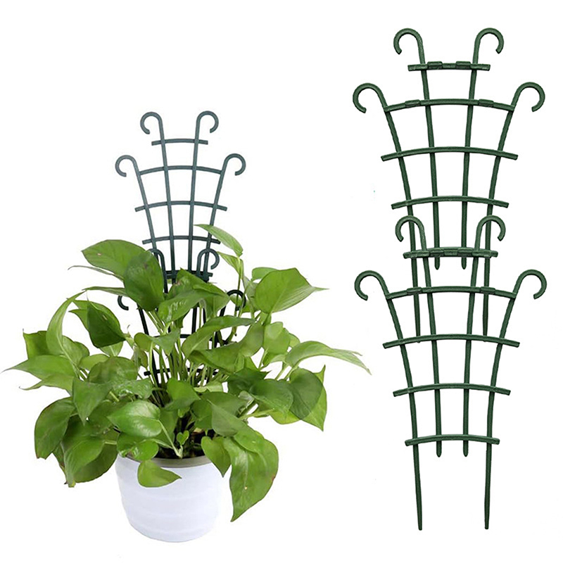 2pcs Mini Garden Growing Plant - Florist Supp 评论和价格
