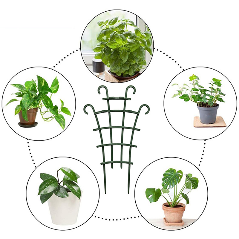 2pcs Mini Garden Growing Plant - Florist Supp 评论和价格