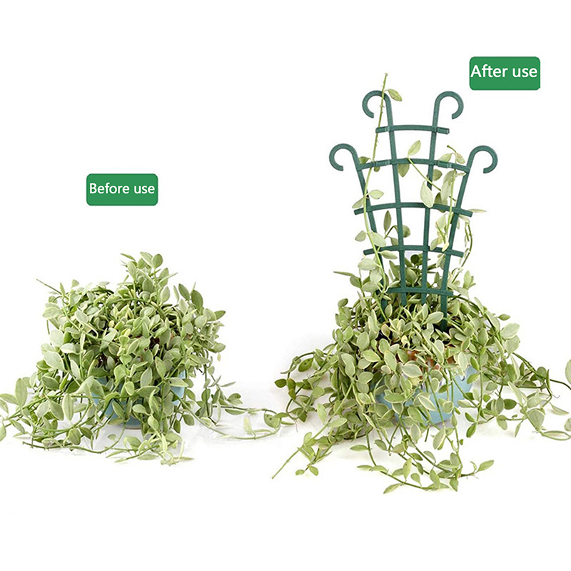 2pcs Mini Garden Growing Plant - Florist Supp 评论和价格