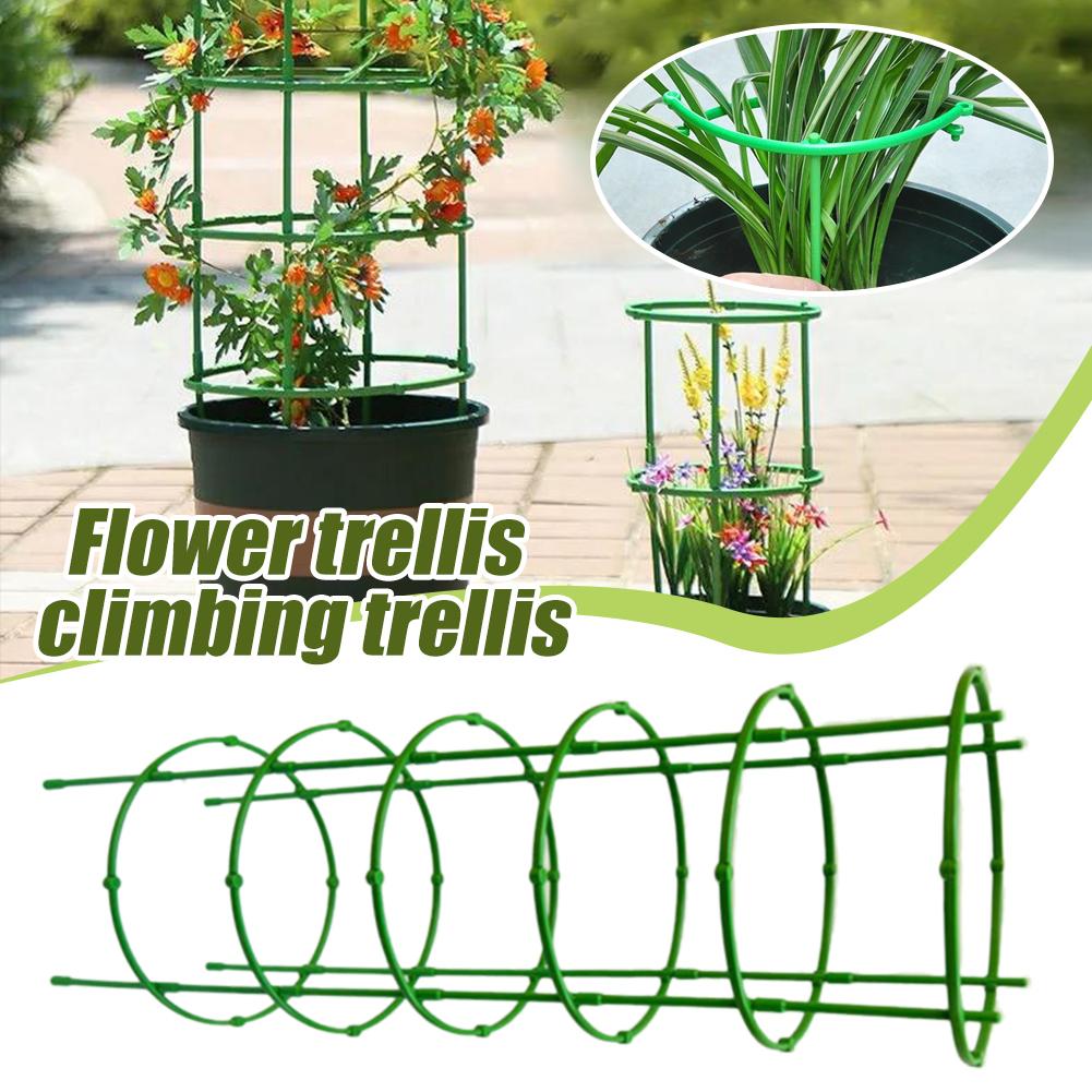 3 Layers Plant Support Plant S - Florist Supp 评论和价格