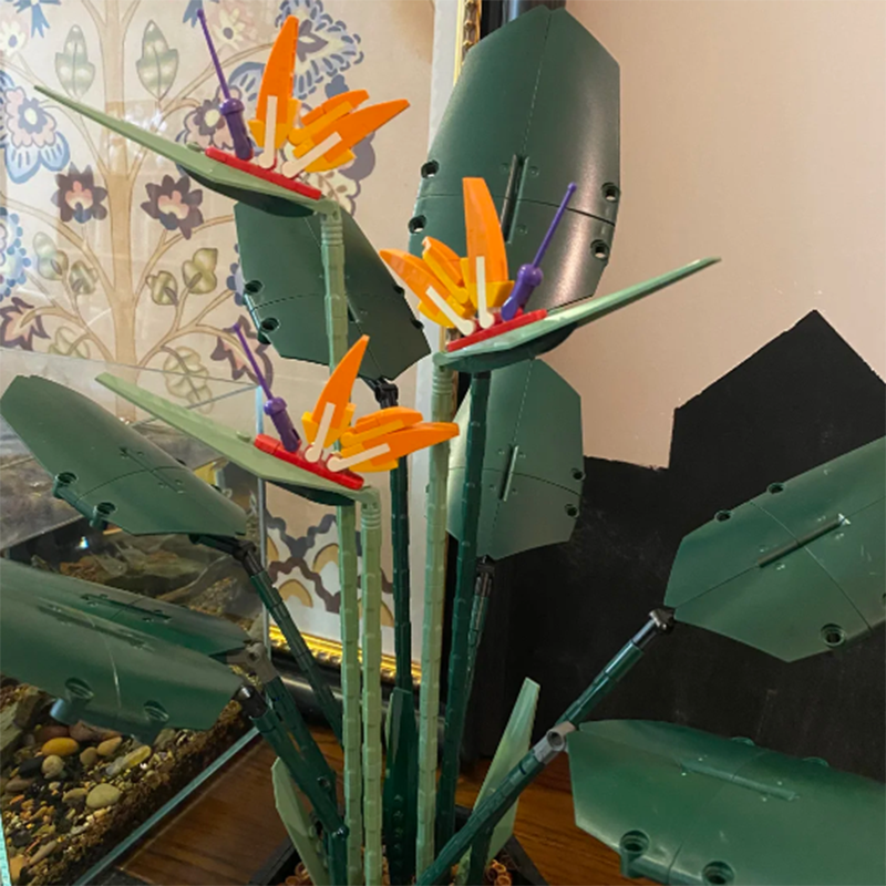 1378PCS Paradise Bird Potted P - Florist Supp 评论和价格