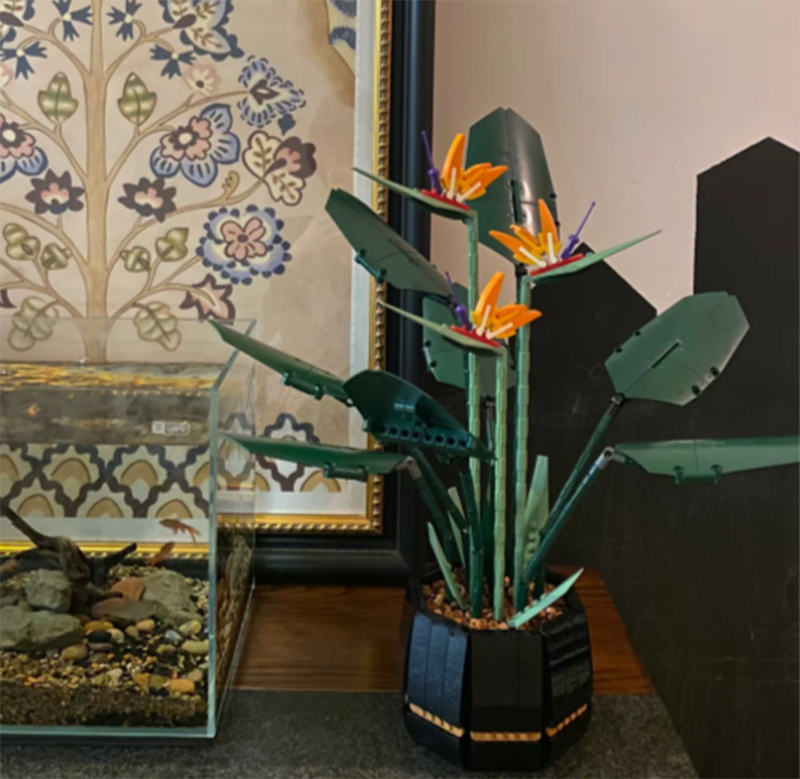 1378PCS Paradise Bird Potted P - Florist Supp 评论和价格